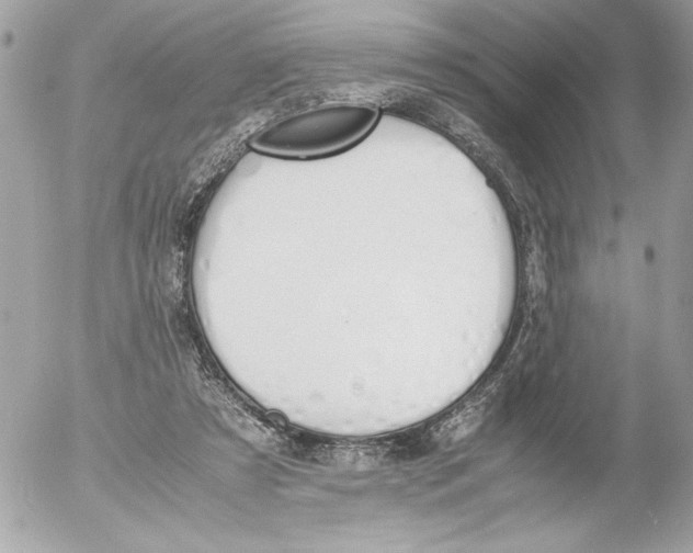 X0000052610305200507292155