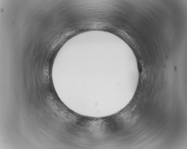 X0000052610306200507292155