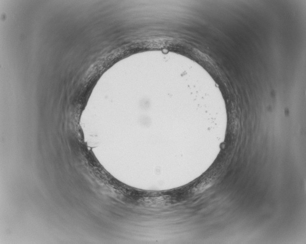 X0000052610307200507292155