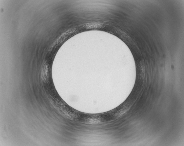 X0000052610308200507292155