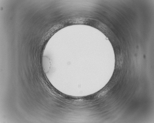 X0000052610309200507292155