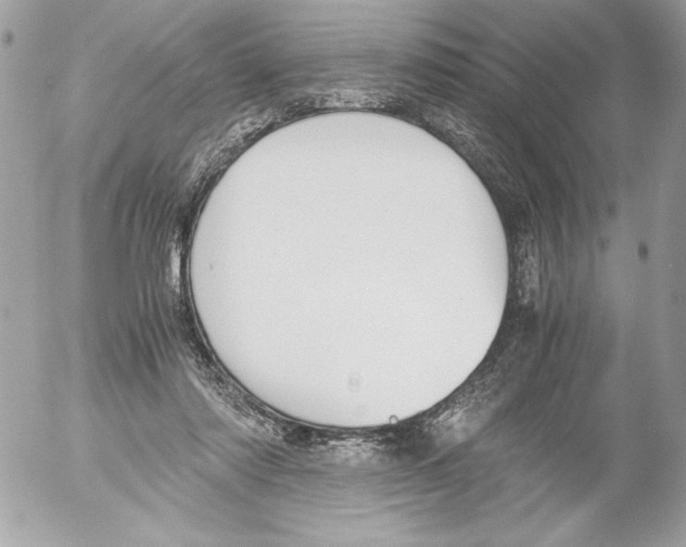 X0000052610310200507292155