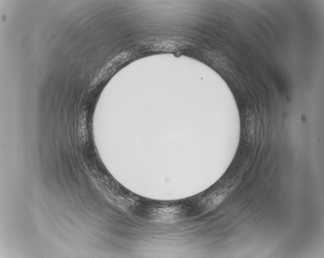 X0000052610312200507292155