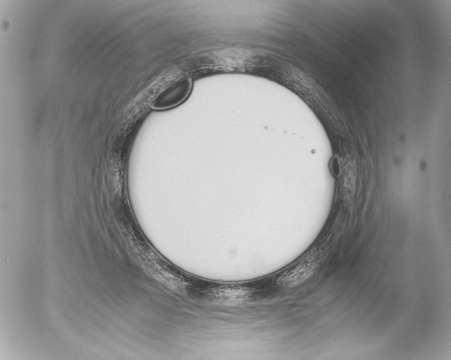 X0000052610313200507292155