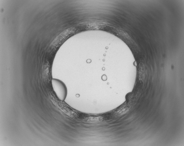 X0000052610314200507292155