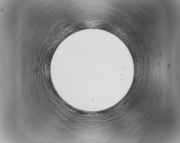 X0000052610317200507292155