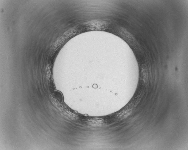 X0000052610318200507292155