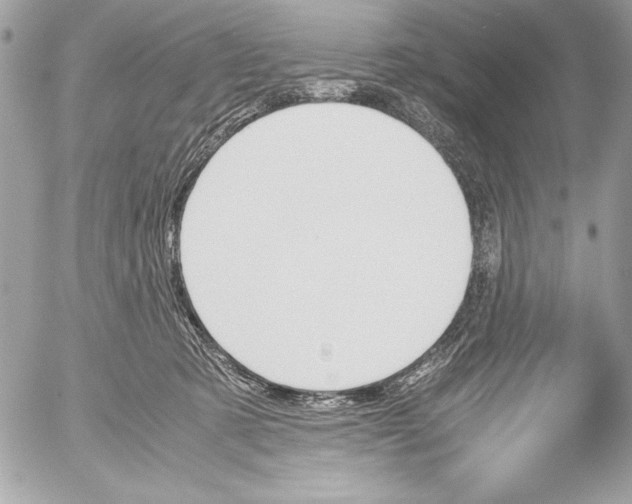 X0000052610321200507292155