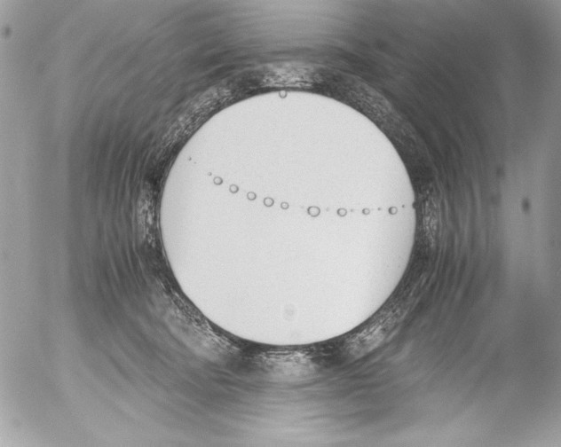 X0000052610322200507292155