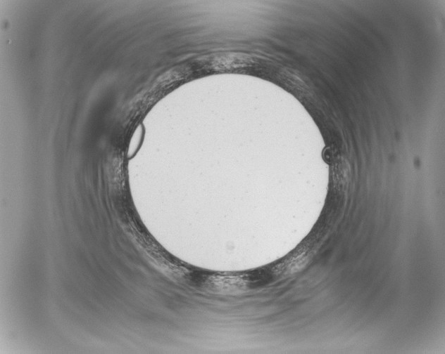 X0000052610327200507292155