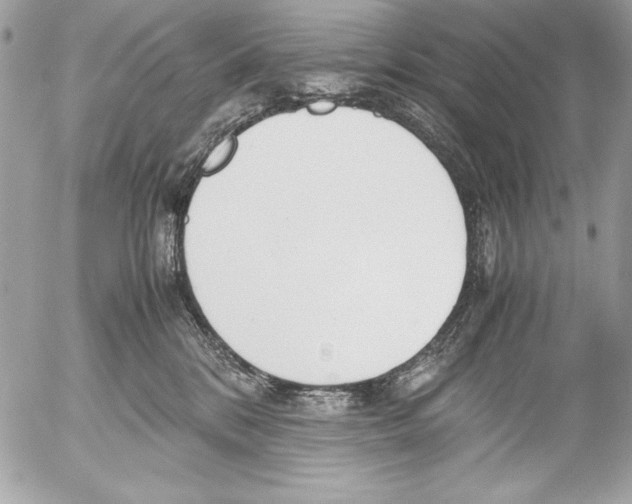 X0000052610328200507292155