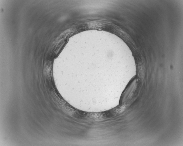 X0000052610329200507292155