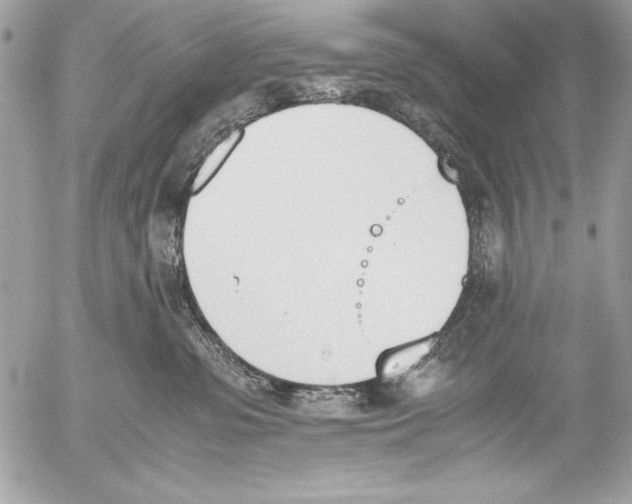 X0000052610331200507292155