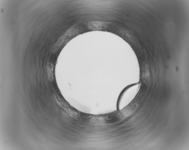 X0000052610332200507292155