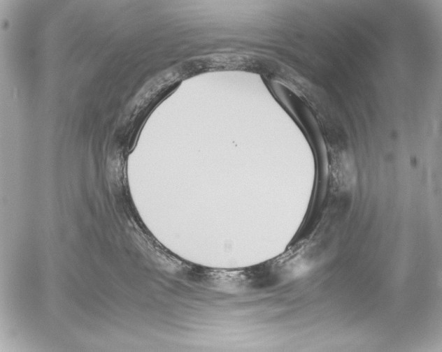 X0000052610333200507292155