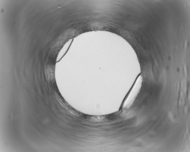 X0000052610335200507292155