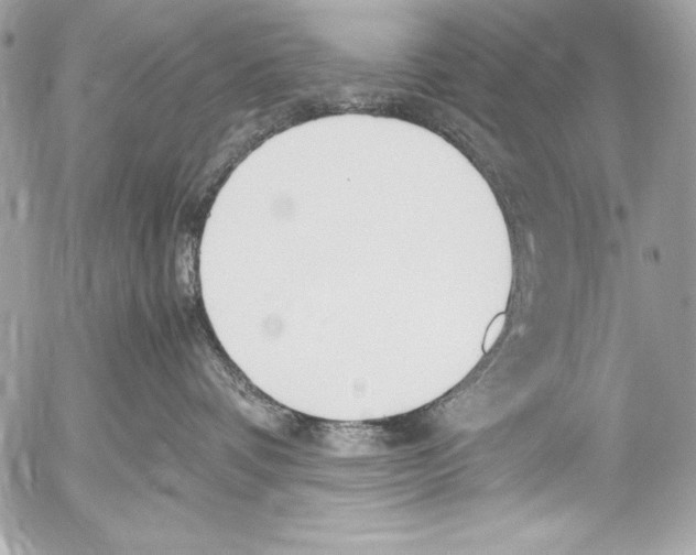 X0000052610336200507292155