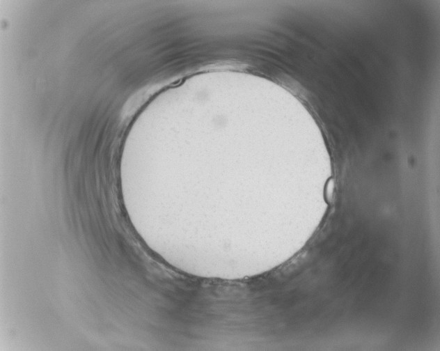 X0000052610337200507292154