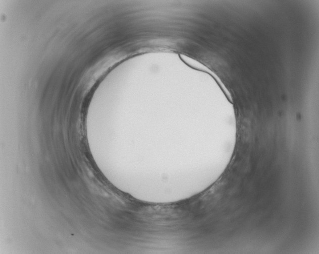 X0000052610338200507292154