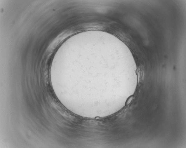 X0000052610339200507292154