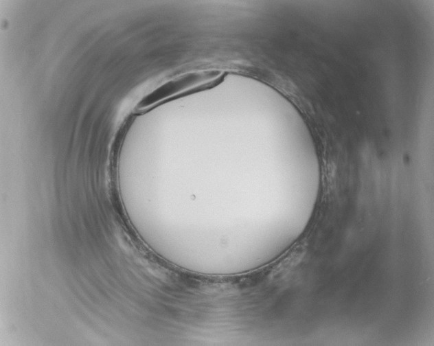 X0000052610340200507292154