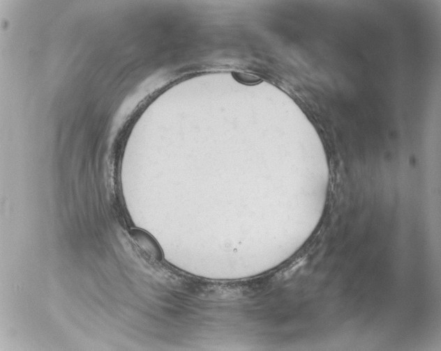 X0000052610343200507292154