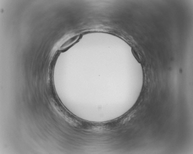 X0000052610344200507292154