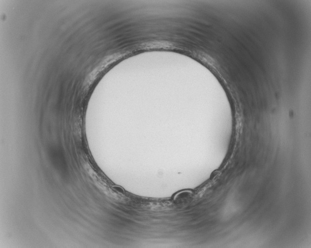 X0000052610345200507292154