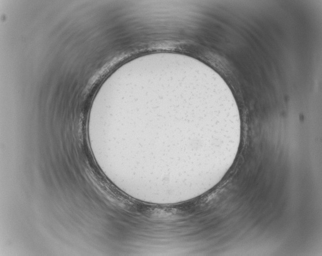 X0000052610346200507292154