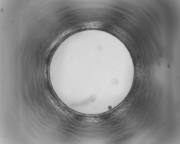 X0000052610347200507292154