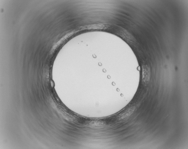 X0000052610348200507292154