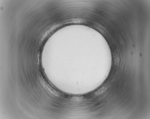 X0000052610350200507292154