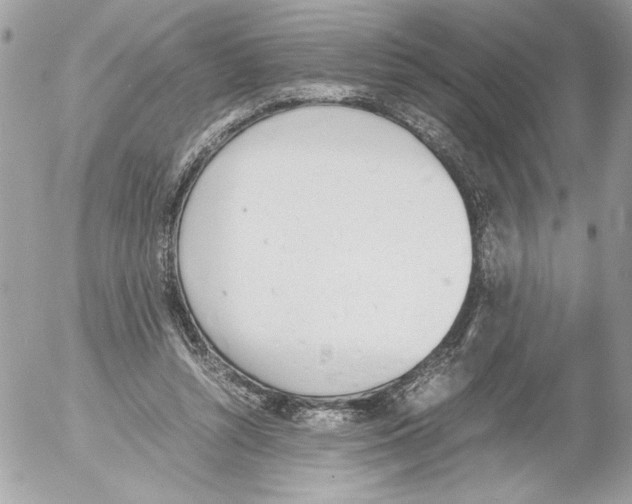 X0000052610352200507292154