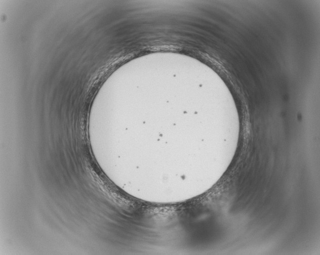 X0000052610353200507292154