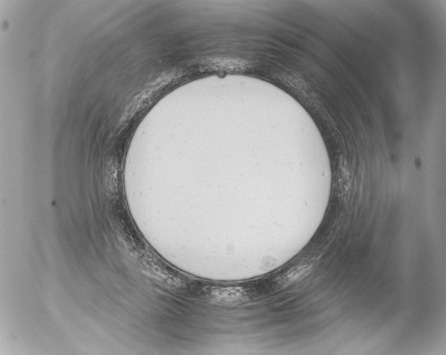 X0000052610355200507292154