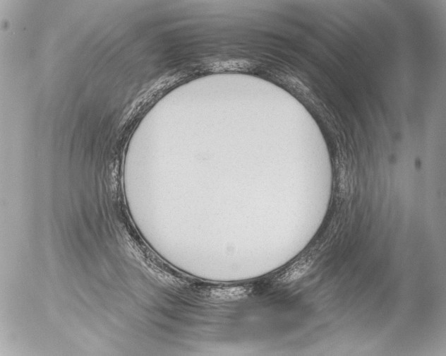 X0000052610357200507292154