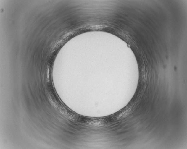 X0000052610358200507292154