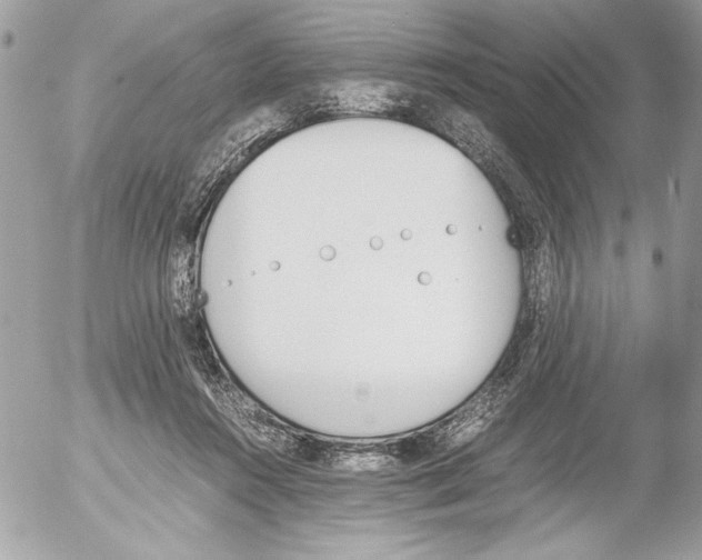 X0000052610360200507292154