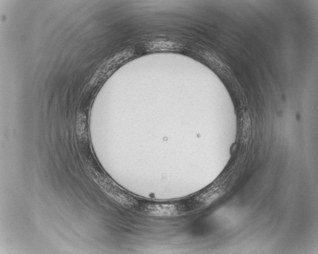 X0000052610361200507292154