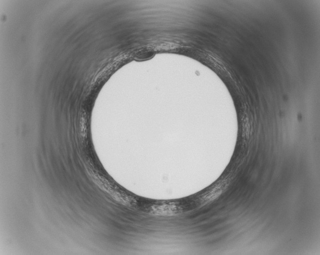 X0000052610362200507292154