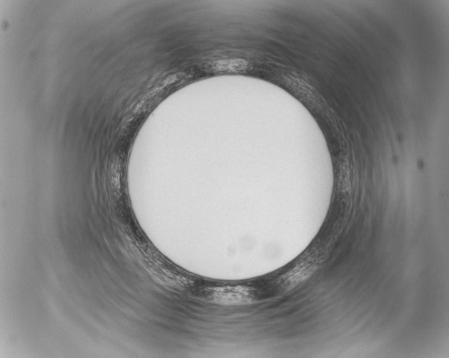 X0000052610363200507292154