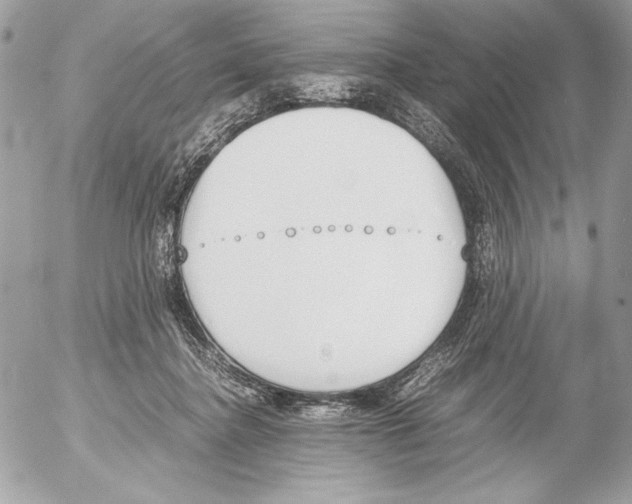 X0000052610364200507292154