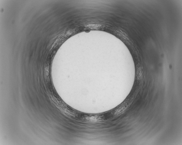 X0000052610365200507292154