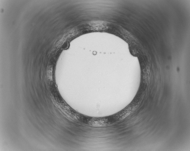 X0000052610368200507292155