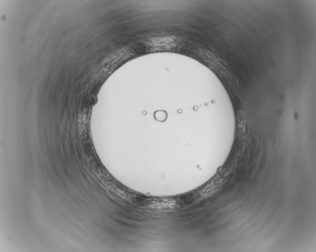 X0000052610369200507292155