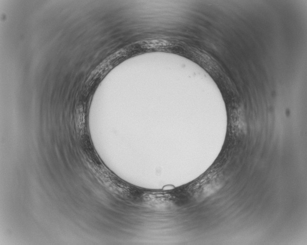 X0000052610372200507292155