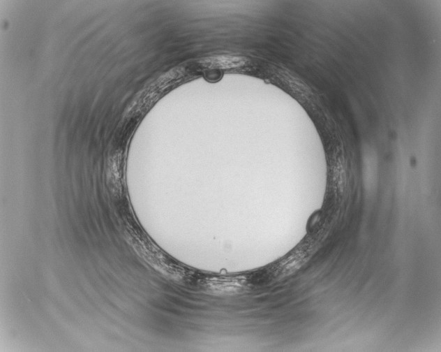 X0000052610373200507292155