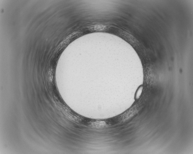 X0000052610374200507292155