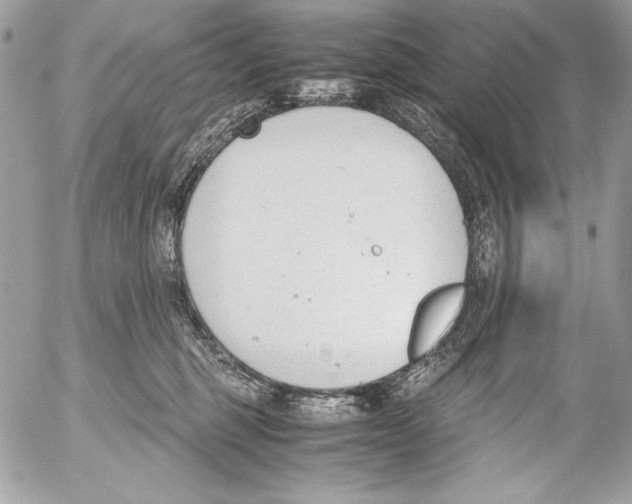 X0000052610375200507292155