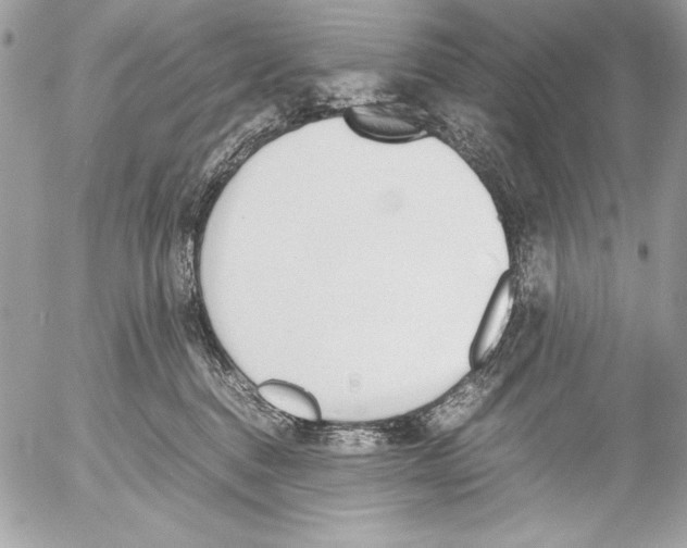 X0000052610376200507292155